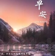 2014男篮世界杯决赛数据-2014男篮世界杯决赛，西班牙与美国的巅峰对决