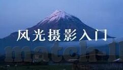 世界杯单场胜负投注-世界杯单场胜负投注，策略与风险并存