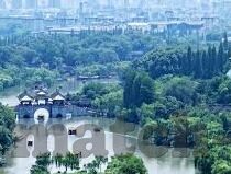 足球实时比分 球探-足球实时比分与球探，数据时代的绿茵场双翼